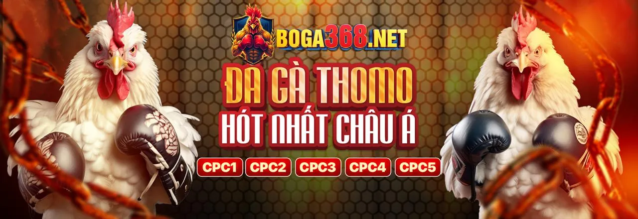 Hình ảnh sân vận động sôi động với cá cược thể thao trực tuyến tại socvip nhà cái