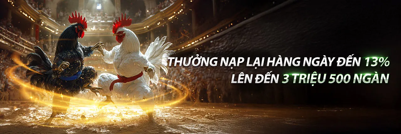 Đá Gà Trực Tuyến Hấp Dẫn tại socvip nhà cái